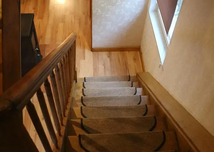 Apfelblüte Ferienhaus Schotten